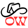 Logo Old Western